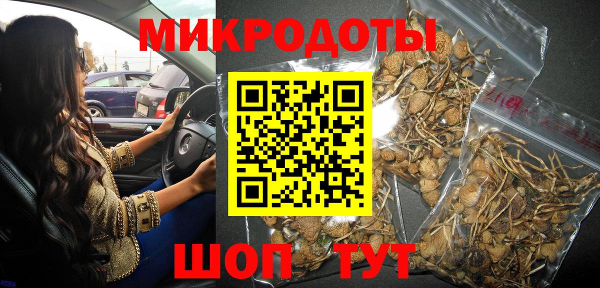 Галлюциногенные грибы GOLDEN TEACHER Каменск-Шахтинский