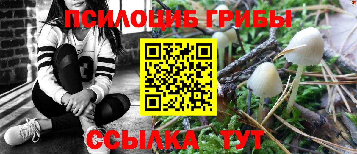 Каменск-Шахтинский  Псилоцибиновые грибы прущие грибы  купить   Вход с VPN  Псилоцибиновые грибы GOLDEN TEACHER 